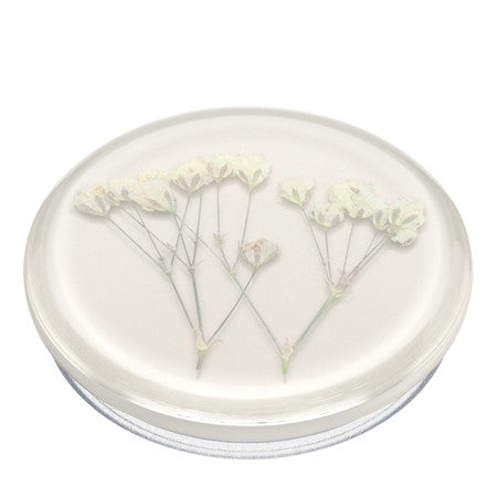 //// PopSockets | PopGrip Pressed Flower Baby's Breath | 123-0413