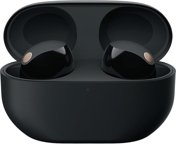 Sony | In-Ear Noise Cancelling Truly Wireless Headphones - Black | WF1000XM5/B