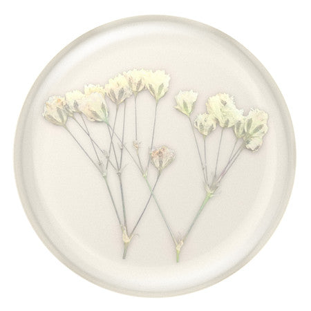 //// PopSockets | PopGrip Pressed Flower Baby's Breath | 123-0413