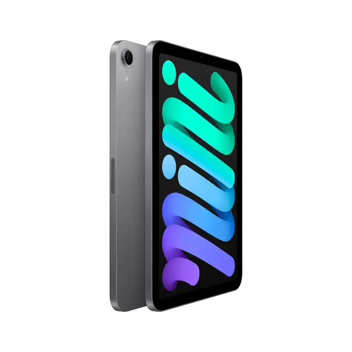 Apple | iPad mini 8.3" 256GB with Wi-Fi & 5G (7th Generation) - Space Grey | MXPT3CL/A