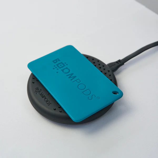 Boompods | Passport Holder with Boomcard Wireless & RFID Protection - Black | BP-PASSMB