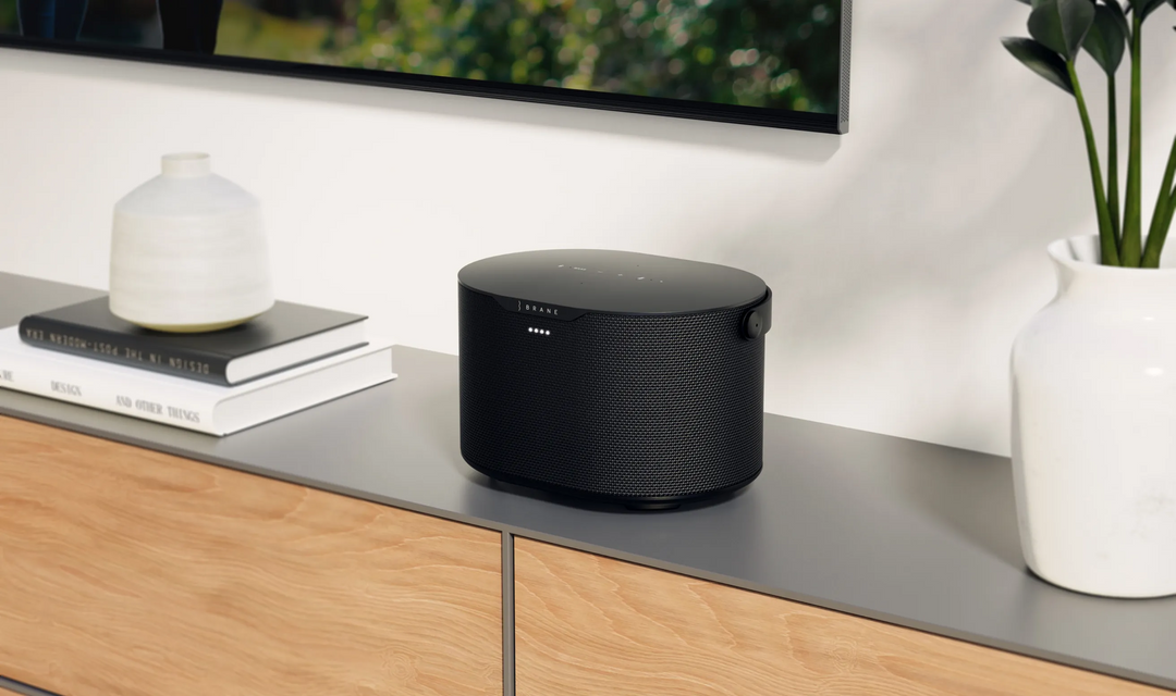 Brane | Audio Brane X Smart Speaker, Portable Wireless Bluetooth Speaker, Internal RAD Subwoofer, 12 Hrs Playback, Waterproof | BNSPEAKERH02-USBC