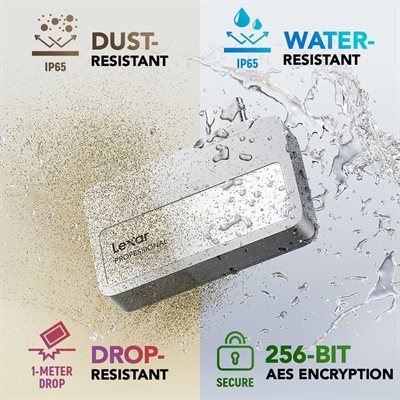 Lexar | Professional Go USB 3.2 Gen 2 Type-C SSD 1TB | LSL400X001T-RNBNU
