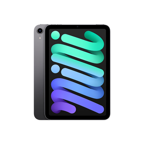 Apple | iPad mini 8.3" 256GB with Wi-Fi & 5G (7th Generation) - Space Grey | MXPT3CL/A