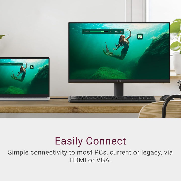 Dell | 24" Monitor 100Hz HDMI VGA 1YR | SE2425HM