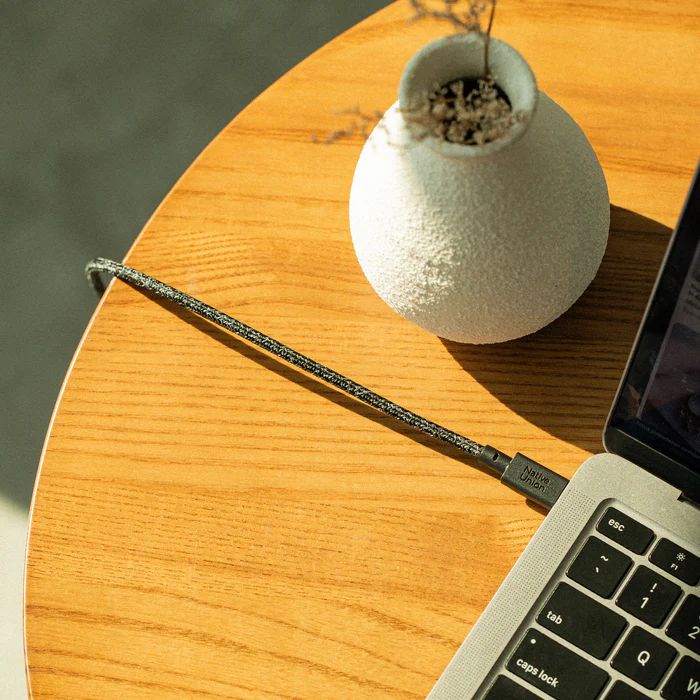 Native Union | Belt Charging Cable XL USB-C to USB-C Ultra-Strong with Leather Strap 10ft 100W |  BELT-XL-C-COS-3-NP