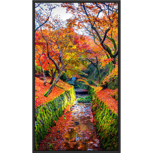 Sharp | 65" 4K LFD Professional Display 350Nits 16/7 High Haze Anti-Glare Portrait/Landscape Metal Chassis |  PN-E659