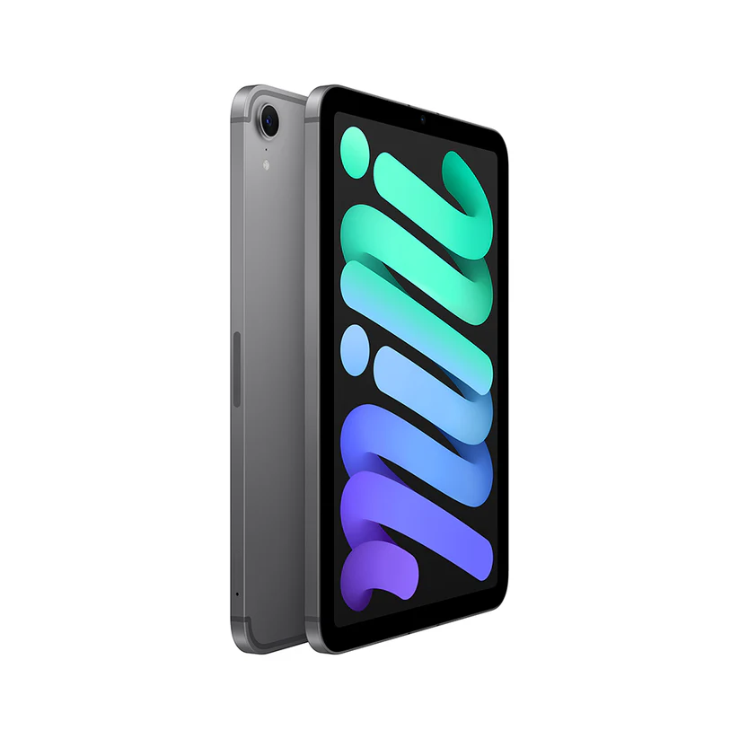 Apple | iPad mini 8.3" 128GB with Wi-Fi & 5G (7th Generation) - Space Grey | MXPN3CL/A