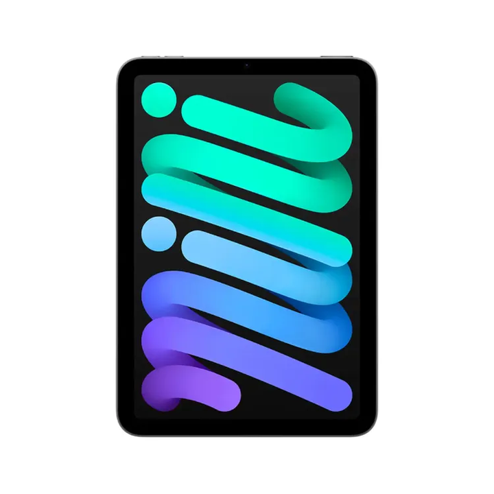 Apple | iPad mini 8.3" 256GB with Wi-Fi & 5G (7th Generation) - Space Grey | MXPT3CL/A