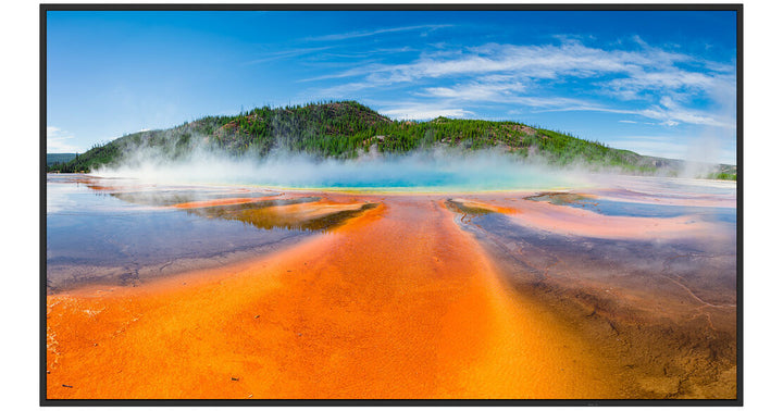 Sharp | 65" 4K LFD Professional Display 350Nits 16/7 High Haze Anti-Glare Portrait/Landscape Metal Chassis |  PN-E659