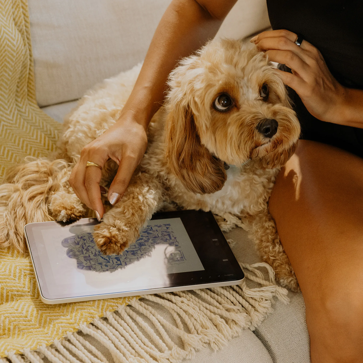 Paperlike | 3 Screen Protector for iPad Mini 8.3" A17 - Clear | PL3-08-21