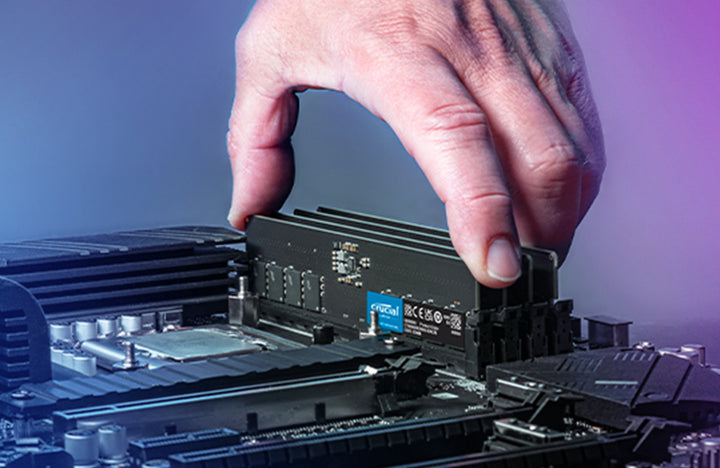 Crucial | RAM UDIMM DDR5 5600MHz 32GB | CT32G56C46U5