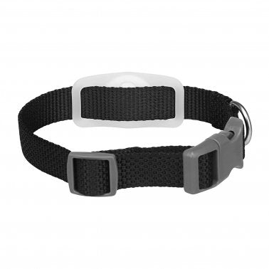 Case-Mate | Dog Collar for Apple AirTag Glow in the Dark - Clear | 15-09953